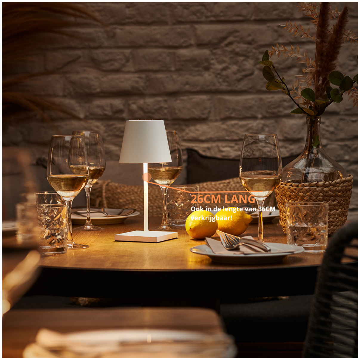 Lot de 2 lampes de table rechargeables, à intensité variable, étanches, 26 cm, blanches, conformes aux normes néerlandaises.