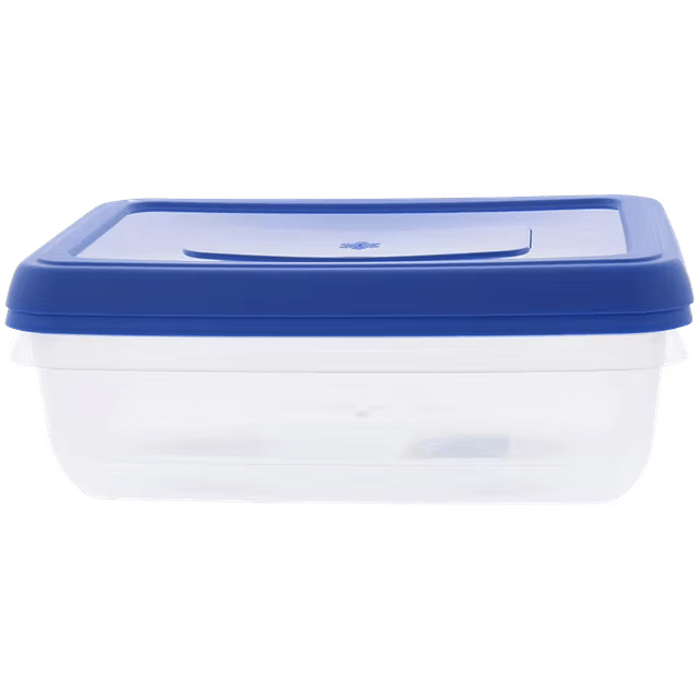 Boîtes pour congélateur ou réfrigérateur 2 x 1,25 L Bleues
