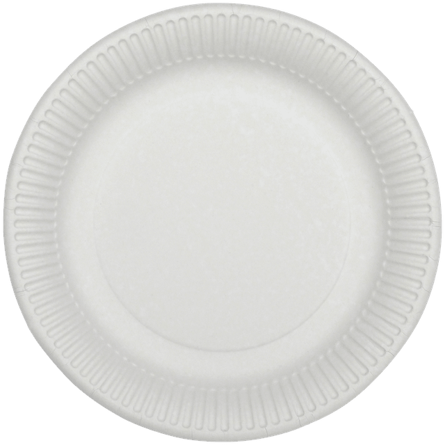 20 assiettes en carton Ø 23 cm