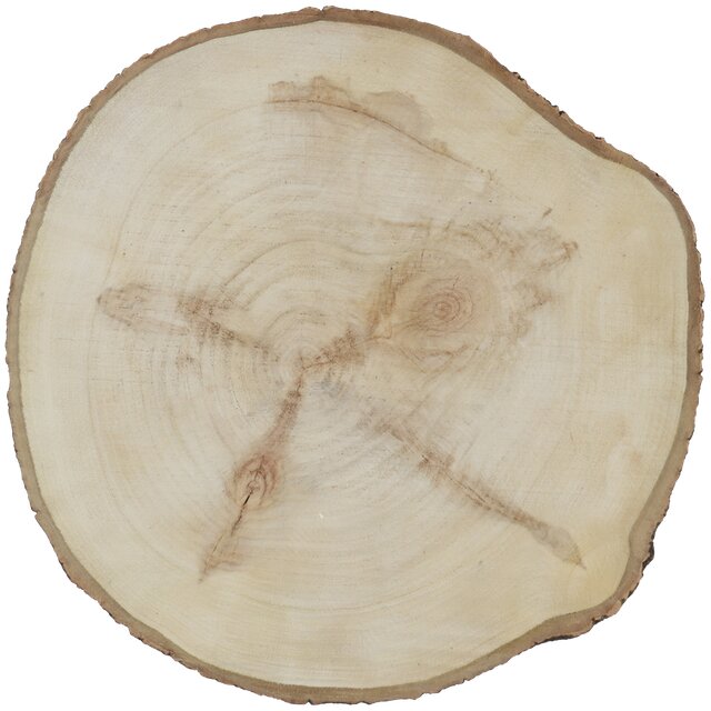 Disque en bois pour porte-bougie chauffe-plat