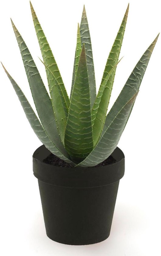 Plante artificielle en pot Aloe vera Ø 10 x 26 cm