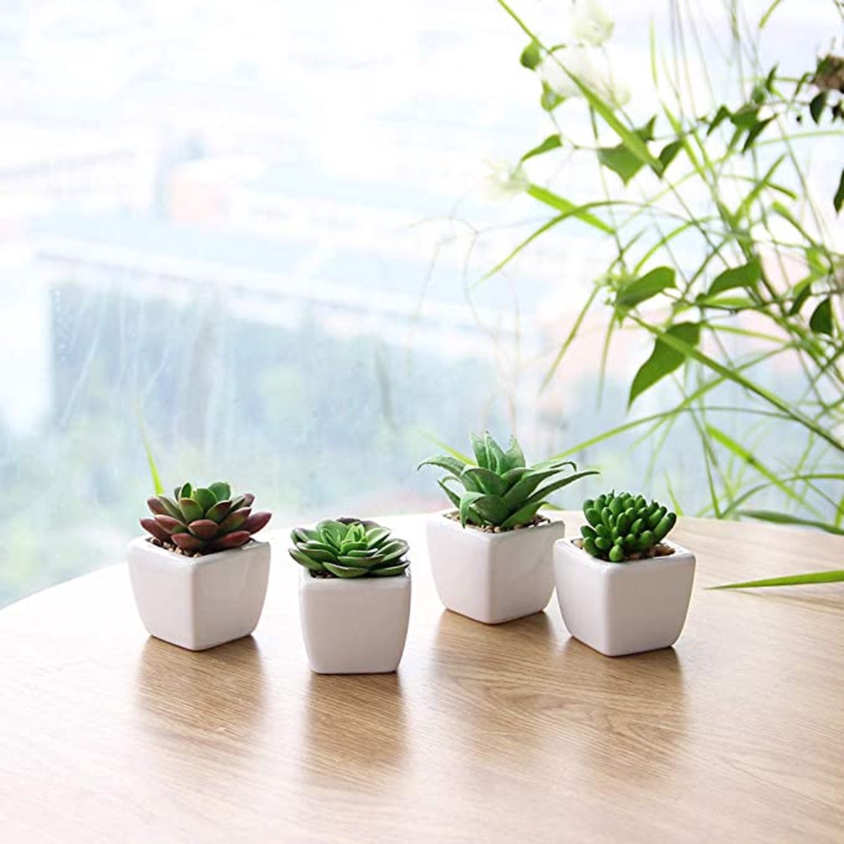 Plantes artificielles - Succulentes en pot - Plantes d'intérieur - Fausses plantes - Lot de 4