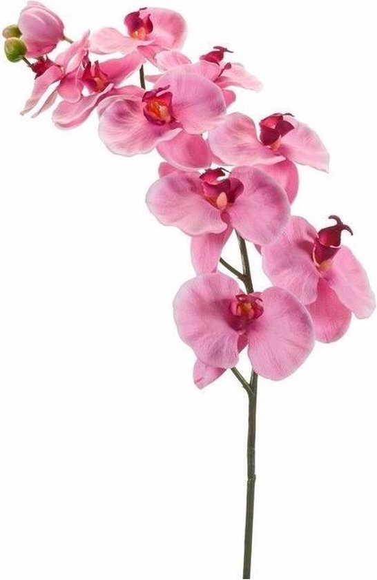 Branche d'orchidée artificielle rose 78 cm
