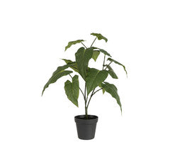 J-line Kunstplant Anthurium 56 cm