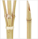 Bamboe tuinfakkels set 20 stuks 120cm