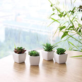 Kunstplanten - Vetplanten in Pot - Kamerplanten - Nep planten - 4 Stuks